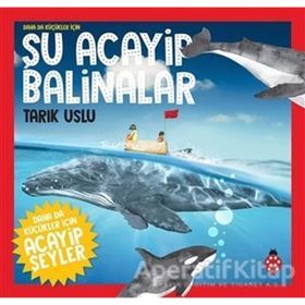 Daha da Küçükler İçin Şu Acayip Balinalar - Daha da Küçükler İçin Acayip Şeyler 4 - Tarık Uslu, Özkan Öze