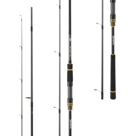 Daiwa BG Seabass 272 cm 14-42 gr Seabass Kamış