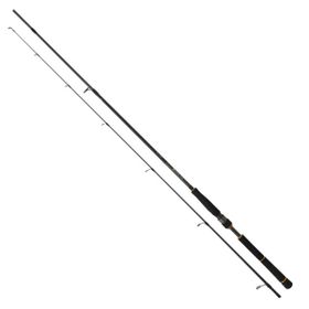Daiwa BG Seabass 272 cm 14-42 gr Seabass Kamış