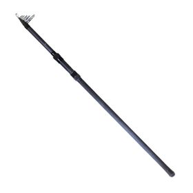 Daiwa Black Widow 360 cm 3,00 LBS 2P Sazan Olta Kamışı