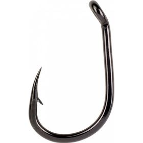 Daiwa Black Widow Carp 001 10 Adet İğne