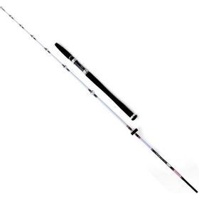 Daiwa Exceler 1.98 mt 7-28 gr 2 Parça Kamış