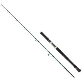 Daiwa Grandwave 1.68 m Olta Kamışı