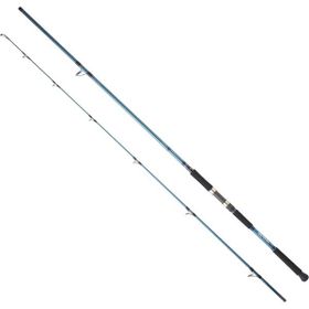 Daiwa Grandwave 3.05 M 60-120 GR 2P Shore Jig Olta Kamışı