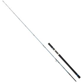 Daiwa Grandwave Sj 1.98 m 180 gr 2p Jig Olta Kamışı