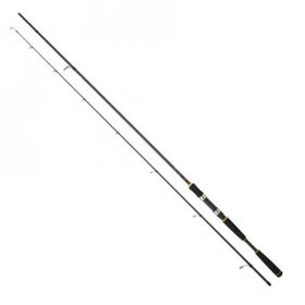 Daiwa Legalis Seabass 290 cm 14-42 gr 2P Spin Olta Kamışı