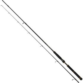 Daiwa New BG Seabass 2.44 m 7-28 gr 2p Spin Olta Kamışı