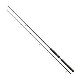 Daiwa New BG Seabass 2.44 m 7-28 gr 2p Spin Olta Kamışı