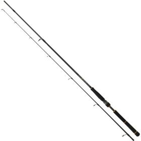 Daiwa New BG Seabass 2.44 m 7-28 gr 2p Spin Olta Kamışı