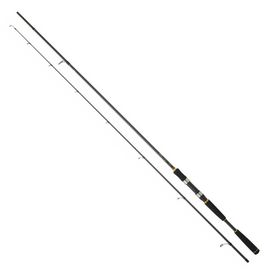 Daiwa New Legalis Seabass 290 cm Olta Kamışı