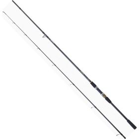 Daiwa Procaster 243cm 14-42gr Spin Kamii