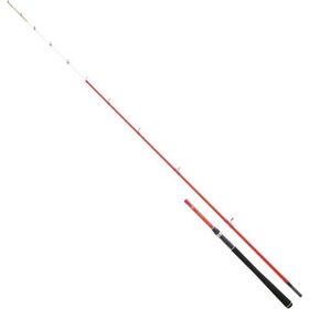 Daiwa S. Palangrotte 1.80 m 30-150 gr 2P Bot Kamış