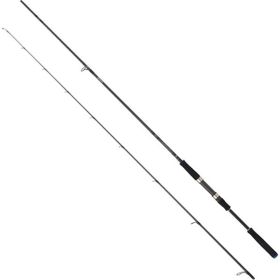 Daiwa Saltist AGS 244 cm Olta Kamışı