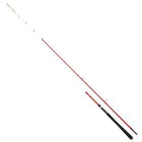 Daiwa Sensor Palangrotte 180 cm 30-150 gr Bot Kamış