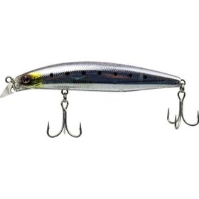 Daiwa Sls Vertice Z97F Mt Trans Iwashı Suni Balık Yemi