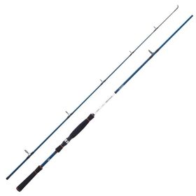 Daiwa Spitfire Seabass 2.40 m 14-56 gr Olta Kamışı