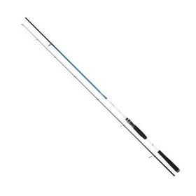 Daiwa Wilderness 290 cm Olta Kamışı