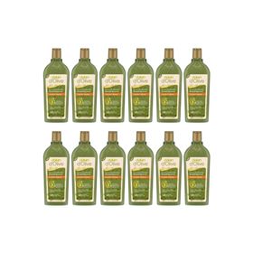Dalan 12x400 ml Onarıcı Bakım Şampuanı + Biota Duş Jeli