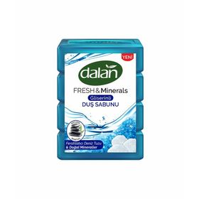 Dalan 4x150 gr Ferahlatıcı Deniz Tuzu Duş Sabunu