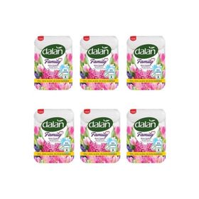 Dalan 4x75 gr 6'lı Family Bahar Çiçekleri Sıvı Sabun