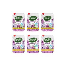 Dalan 75x4 gr 6 Adet Family Leylak Buketi Sıvı Sabun