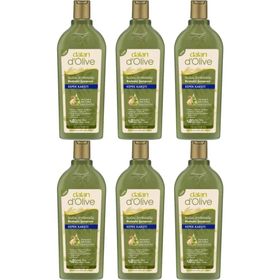 Dalan Doğal Zeytinyağlı Kepek Karşıtı Besleyici 6x400 ml Şampuan