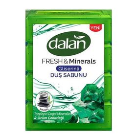 Dalan Fresh Minerals 600 gr Doğal Mineraller Duş Sabunu