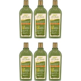Dalan Onarıcı 6x400 ml Bakım Şampuanı