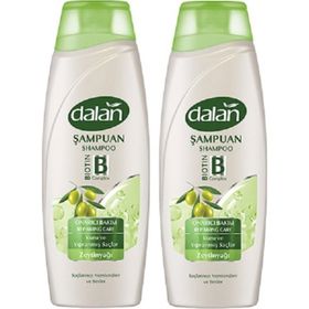 Dalan Zeytinyağlı Onarıcı Bakım 2x450 ml Şampuan