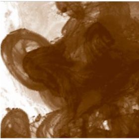 Daler Rowney 5710021 Fw Ink No:223 Burnt Umber 180 ml Akrilik Boya