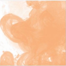 Daler Rowney Flesh Tint 578 Fw Acrylic Artist Ink 29.5 ml Cam Şişe