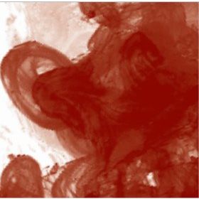 Daler Rowney Fw Acrylic Artist Ink 29.5 ml Cam Şişe Red Earth 554 Mürekkep