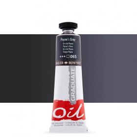 Daler rowney georgian 38 ml no:065 paynes grey yağlı boya