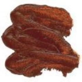 Daler Rowney N:221 Burnt Sienna 38 ml Georgian Yağlı Boya
