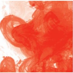 Daler Rowney Scarlet 567 Fw Acrylic Artist Ink 29.5 ml Cam Şişe