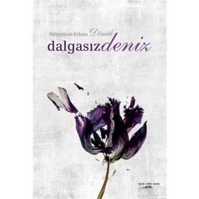 Dalgasız Deniz - Süleyman Erhan Dönük