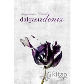 Dalgasız Deniz - Süleyman Erhan Dönük
