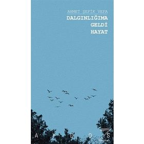 Dalgınlığıma Geldi - Ahmet Şefik Vefa