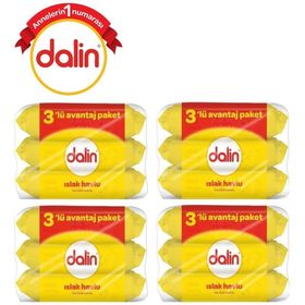Dalin 672 Yaprak 12'li Set Islak Havlu
