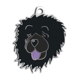 Dalis Pet Tag Çin Aslanı Köpek Künyesi