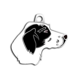 Dalis Pet Tag Poınter Siyah-Beyaz Köpek Künyesi