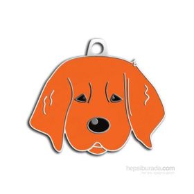 Dalis Pet Tag Yavru Golden Kızıl Köpek Künyesi