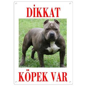 Dalis Renkli Pitbull Dikkat Köpek Var Uyari Levhasi