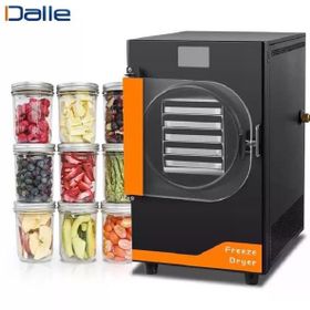 Dalle DFD-10 Yüksek Teknolojili Freeze Dryer Dondurarak Kurutma Fırın