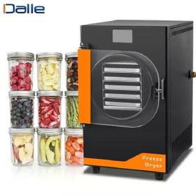Dalle DFD-10 Yüksek Teknolojili Freeze Dryer Dondurarak Kurutma Fırın