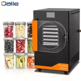 Dalle DFD-10 Yüksek Teknolojili Freeze Dryer Dondurarak Kurutma Fırın