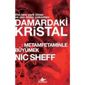 Damardaki Kristal Metamfetaminle Büyümek Nic Sheff Pegasus Yayınları