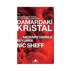 Damardaki Kristal Metamfetaminle Büyümek Nic Sheff Pegasus Yayınları
