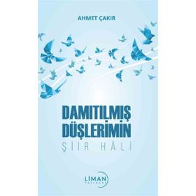 Damıtılmış Düşlerimin Şiir Hali - Ahmet Çakır