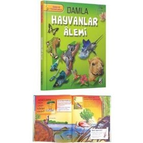 Damla Yayınevi Damla - Hayvanlar Alemi